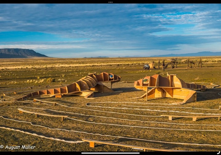 Mirrored wooden lizard sculpture with integrated benches